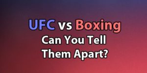 UFC vs Boxing Quiz: Can You Tell These Names Apart?